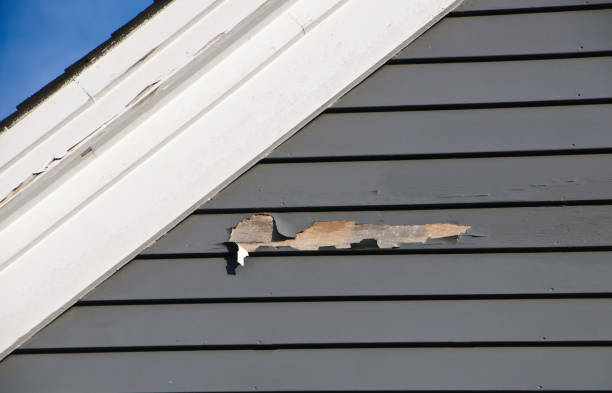 Best Steel Siding Installation  in Matthews, NC